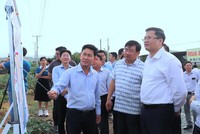 Đoàn công tác Bộ Tài chính khảo sát thực địa khu vực quy hoạch Dự án Nhà máy điện hạt nhân Ninh Thuận 1 tại xã Phước Dinh. Ảnh: Bảo Anh 