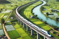 Ảnh minh họa: Internet