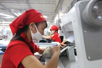 Trong tháng 8, kim ngạch xuất khẩu dệt may giảm 4,8%, sản phẩm gỗ giảm 6,7%, giày dép giảm 3,9%, nhưng tổng kim ngạch vẫn tăng 14,5%