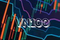 VN100 được hình thành từ sự kết hợp của VN30 và các cổ phiếu dẫn đầu trong VNMidcap
