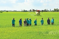 Nông nghiệp Việt đang tạo dựng vị thế vững chắc trên bản đồ nông sản thế giới