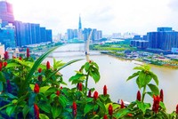 Năm 2025, GRDP Thành phố ước đạt 3 triệu tỷ đồng, tăng hơn 1,4 lần so với 2020, chiếm 23,1% GDP cả nước. Ảnh: Lê Toàn.