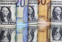 Đà tăng của đồng euro được dự báo sẽ tiếp tục trong những tháng tới. Ảnh minh họa: REUTERS/TTXVN