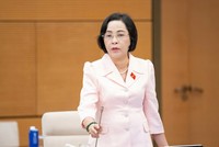Phó chủ tịch Quốc hội Nguyễn Thị Thanh. 