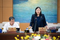 Phó chủ nhiệm Thường trực Ủy ban Dân nguyện và Giám sát Lê Thị Nga phát biểu. 