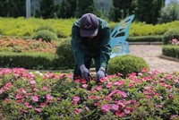 Mùa mưa bão và lời cảnh tỉnh cho an toàn du lịch Việt Nam 