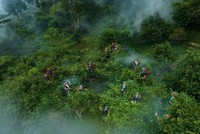 Cả nước hiện có hơn 600 mô hình du lịch nông nghiệp, nông thôn đang hoạt động, tăng gần 1,6 lần so với năm 2021.