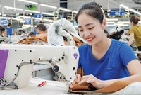 Khoản tiền hoàn thuế đóng góp tích cực vào dòng vốn kinh doanh