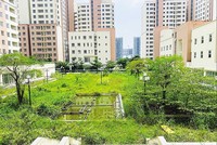 Nhà tái định cư Thủ Thiêm bỏ hoang nhiều năm, cỏ dại mọc um tùm