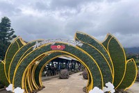 Lễ hội Hoa Sen đá 2025 được tổ chức với mục đích truyền đi thông điệp về "dòng chảy an nhiên" - nơi “tâm” bình lặng, an nhiên giữa dòng đời bất tận.