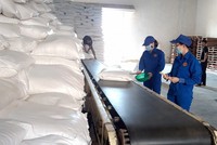 Bộ Tài chính xuất hơn 644 tấn gạo dự trữ hỗ trợ học sinh 3 địa phương 