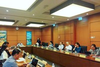 Bộ trưởng Bộ Y tế Đào Hồng Lan phát biểu tại tổ. 