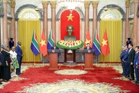 Việt Nam luôn coi trọng mối quan hệ hữu nghị truyền thống với Nam Phi 
