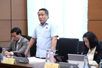 Đại biểu Hà Sỹ Đồng phát biểu tại tổ. 