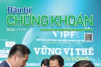 Báo Đầu tư Chứng khoán số 45