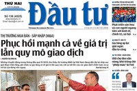 Báo Đầu tư số 138