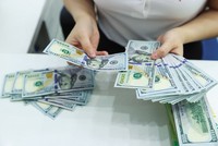 Đến thời điểm này, tỷ giá đã tăng 3,5% so với đầu năm và dự kiến cả năm sẽ tăng khoảng 4%. Ảnh: Đức Thanh 