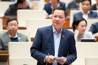 Đại biểu Trịnh Xuân An (Đồng Nai) phát biểu tại hội trường. 