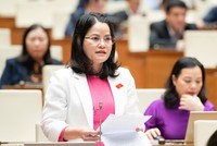 Đại biểu Nguyễn Hoàng Bảo Trân (TP. Hồ Chí Minh)