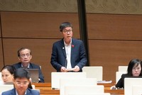 Đại biểu Nguyễn Mạnh Hùng tham gia thảo luận. 