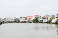 Đồng Tháp đầu tư Dự án xử lý sạt lở đê ven sông Tiền tại xã An Hữu vốn 252 tỷ đồng 