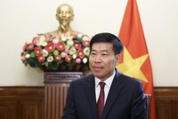 Thứ trưởng Bộ Ngoại giao Nguyễn Mạnh Cường.