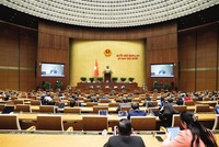 Bộ trưởng Bộ Nông nghiệp và Môi trường Trần Đức Thắng giải trình tại Quốc hội 