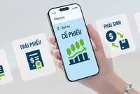 Pinetree và thế hệ nhà đầu tư tự chủ