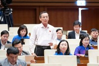 Đại biểu Trần Hữu Hậu (Tây Ninh) phát biểu tại hội trường. 