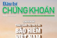 Báo Đầu tư Chứng khoán số 51