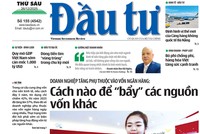  Báo Đầu tư số 155