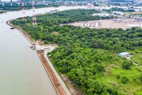 Qua 3 đợt xem xét, TP.HCM có 181 khu đất tham gia thí điểm với tổng diện tích hơn 1.780 ha. Ảnh: Lê Toàn.