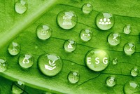 Tăng trưởng bền vững, cần đa dạng hóa dòng vốn