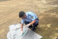 Cán bộ Đội Quản lý thị trường số 10, Chi cục Quản lý thị trường tỉnh Gia Lai lấy mẫu tại cơ sở kinh doanh. Ảnh: Chi cục QLTT tỉnh Gia Lai. 