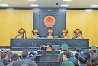 Ba cựu lãnh đạo tỉnh Khánh Hòa xin xét xử vắng mặt vụ Tập đoàn Phúc Sơn 