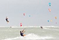 Ảnh minh họa. Ảnh: T.M.N 