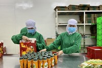 Nhiều doanh nghiệp nhận định nhu cầu tiêu dùng dần phục hồi trong mùa Tết năm nay.