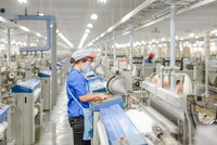 Toàn ngành dệt may đặt mục tiêu xuất khẩu 50 tỷ USD trong năm nay. 