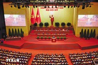 PGS-TS. Nguyễn Đình Thọ, Phó viện trưởng Viện Chiến lược, Chính sách nông nghiệp và môi trường (Bộ Nông nghiệp và Môi trường) 