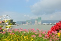 Thị trường đất nền tại thành phố Đà Nẵng ghi nhận nhiều chuyển biến tích cực.