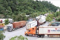 Hoạt động xuất nhập khẩu hàng hóa qua các cửa khẩu tỉnh Lạng Sơn ngày 31/1 và 1/2 diễn ra ổn định, thông suốt. 