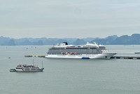 Du lịch tàu biển Quảng Ninh nhộn nhịp, sôi động với sự xuất hiện liên tiếp của các chuyến tàu lớn. Ảnh: Quỳnh Nga