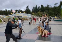 Lâm Đồng hướng tới xây dựng môi trường du lịch bền vững, an toàn, văn minh, thân thiện. Trong ảnh là du khách tham quan du lịch tại Quảng trường Lâm Viên, tỉnh Lâm Đồng. Ảnh: T.X 