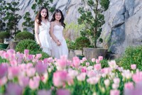 Du lịch Tết Bính Ngọ 2026 tăng trưởng ấn tượng 