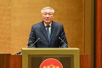 Phó Thủ tướng Thường trực Chính phủ Nguyễn Hòa Bình báo cáo tại Hội nghị.