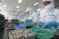 Các doanh nghiệp có năng lực thích ứng tốt với sự thay đổi thuế quan của Mỹ được kỳ vọng duy trì đà tăng trưởng và cải thiện vị thế cạnh tranh