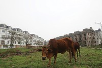 Việc xử lý nợ xấu giúp giải phóng nguồn lực đang bị kẹt lại trong các dự án đình trệ, tài sản dở dang