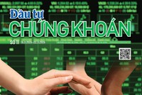  Báo Đầu tư Chứng khoán số 11