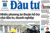 Báo Đầu tư số 20