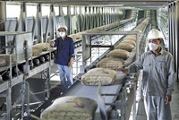 Xi măng là một trong những ngành chịu ảnh hưởng không nhỏ từ việc tăng giá xăng dầu